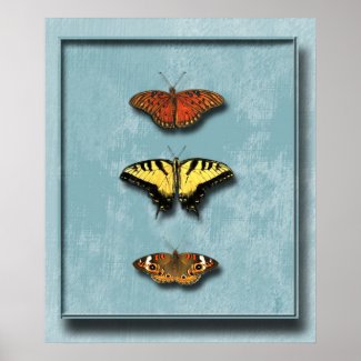 Butterflies Shadowbox Poster Print