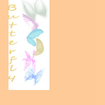 Butterflies t-shirts