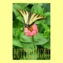 BUTTERFLIGHT POSTER posters by gardensofeve BUTTERFLIGHT POSTER posters