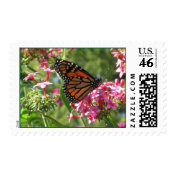 Butterflowers Postage