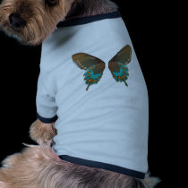 butterfly1 pet clothing