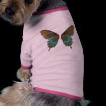 butterfly1 pet clothing