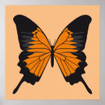butterfly1 posters
