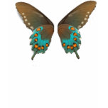 butterfly1 tshirts