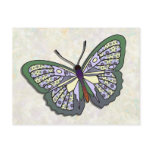 Butterfly - 02 postcards