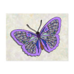 Butterfly - 03 postcards