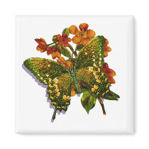 Butterfly-04 Refrigerator Magnet