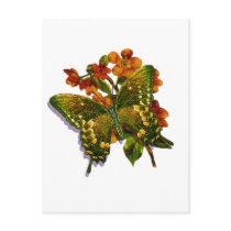 Butterfly-04 Post Card
