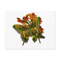 Butterfly-04 Post Cards