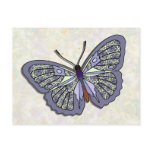 Butterfly - 04 postcards