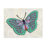 Butterfly - 05 postcards