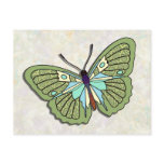 Butterfly - 06 postcards