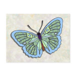 Butterfly - 07 postcards