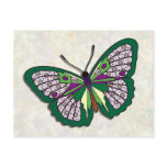 Butterfly - 08 postcards