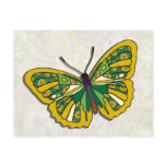 Butterfly - 09 postcards