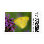 "Butterfly" #1001 Postage Stamps (Sheet of 20)