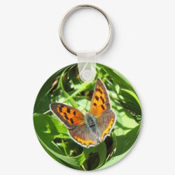 Butterfly 107 ~ keychain keychain