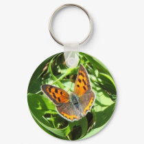 Butterfly 107 ~ keychain by Andy2302 Butterfly 107 ~ keychain