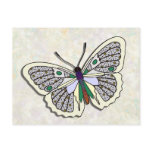Butterfly - 10 postcards