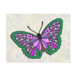 Butterfly - 12 postcards