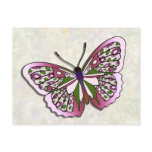 Butterfly - 13 postcards