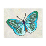 Butterfly - 14 postcards