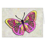 Butterfly - 15 cards