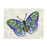 Butterfly - 16 postcards