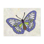 Butterfly - 17 postcards