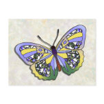 Butterfly - 19 postcards