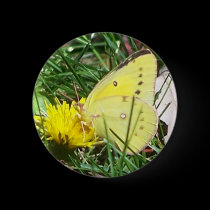 Butterfly 1 buttons by melhi_ Butterfly 1 buttons