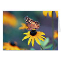 Butterfly 1 greeting card