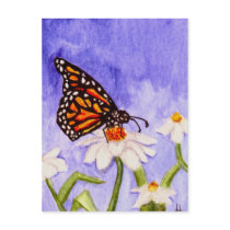 Butterfly 1 Postcard