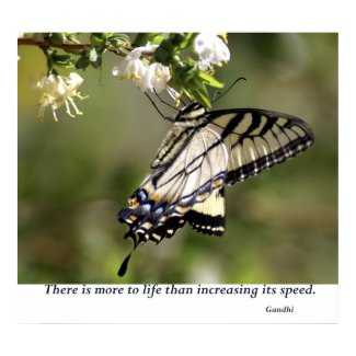 Butterfly 1 print
