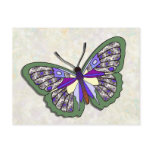 Butterfly - 20 postcards