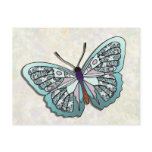 Butterfly - 24 postcards
