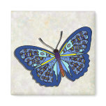 Butterfly - 25 magnets