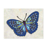 Butterfly - 25 postcards