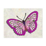 Butterfly - 26 postcards