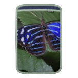 butterfly-272.jpg MacBook air sleeves