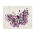 Butterfly - 27 postcards