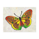 Butterfly - 28 postcards