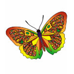 Butterfly - 28 t-shirts