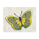 Butterfly - 29 postcards