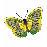 Butterfly - 29 t-shirts