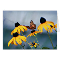 Butterfly 2 card