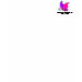 Ladies Petite T-Shirt