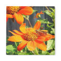 Butterfly 2 magnets