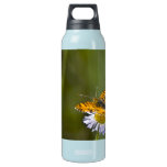 Butterfly 2 SIGG thermo 0.5L insulated bottle