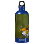 Butterfly 2 SIGG traveler 0.6L water bottle